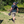 Load image into Gallery viewer, Temo 450 Transport and Protection Bag