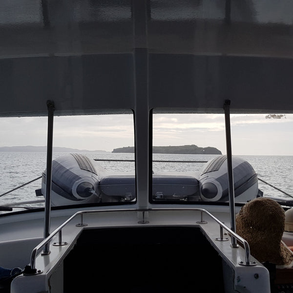 Takacat T420LX - 2022