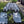 Load image into Gallery viewer, 2021 Takacat T380LX demo inflatable catamaran boat with complete kit and accessories
