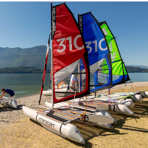 A Red and Blue MiniCRed and Blue MiniCat  310 Sports beside a MiniCat Guppy on the beach