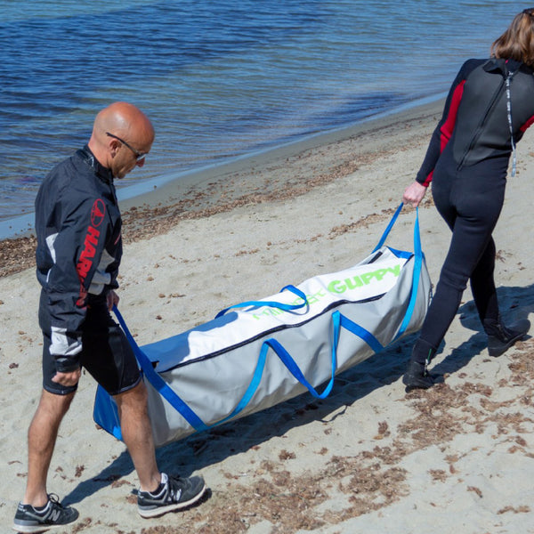 MiniCat Guppy being carried to a beach in a bag